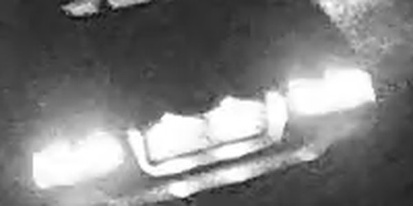 Matrícula quemada en la grabación de una cámara de fototrampeo